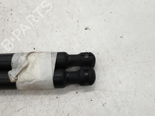 tailgate-lift-support-renault-clio-iv-bh_-2012-2013-2014-2015-2016-2017-2018-2019-2020-2021-24485852 main image