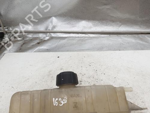 Used Expansion tank RENAULT CLIO III (BR0/1, CR0/1) 1.5 dCi (75 hp) 25843474