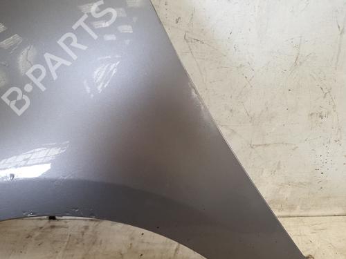 Left front fenders RENAULT SCÉNIC III (JZ0/1_) 1.6 dCi (JZ00, JZ12) | BP22865975C41 