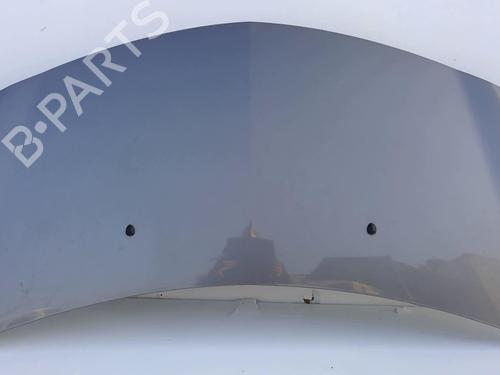 Panser Panser RENAULT CLIO III (BR0/1, CR0/1) 1.5 dCi (BR17, CR17) (86 hp) 22873503 22873503