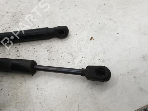 Hood lift support AUDI A4 B7 (8EC) 1.9 TDI | BP24421904C139 