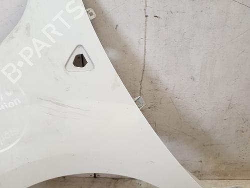 Left front fenders RENAULT KANGOO Express (FW0/1_) 1.5 dCi 85 (FW0K, FW0L, FW0B) | BP22866085C41 