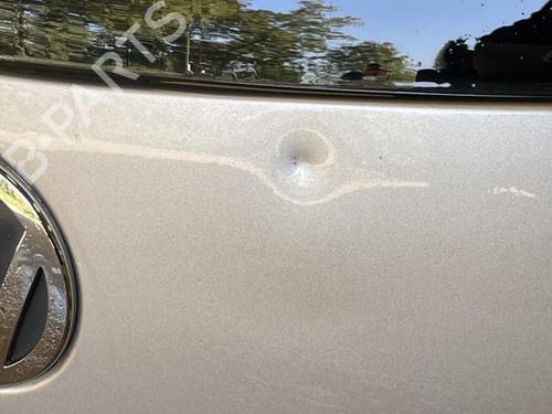 Used Tailgate VW POLO (9N_, 9A_) 1.4 TDI (80 hp) 22886801