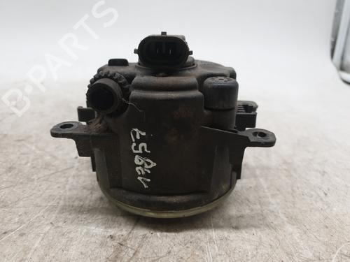 Right front fog light RENAULT MEGANE II (BM0/1_, CM0/1_) 1.9 dCi (BM0G, CM0G) | BP31156260C31