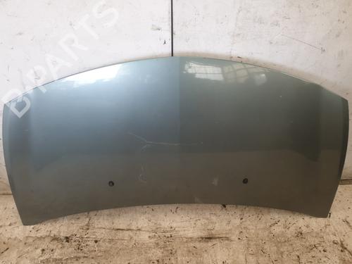 Used Hood RENAULT CLIO III (BR0/1, CR0/1) 1.5 dCi (BR17, CR17) (86 hp) 29162280