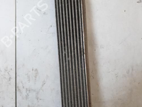 Used Intercooler Intercooler FIAT BRAVO II (198_) 1.9 D Multijet (198AXB1A) (120 hp) 23967164 23967164