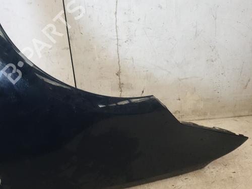 Left front fenders FORD C-MAX (DM2) 1.6 TDCi | BP22866093C41 