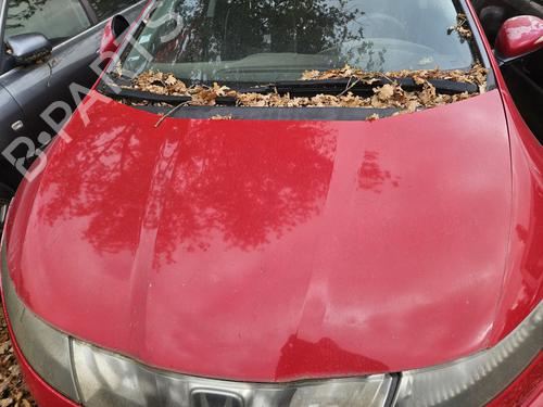 Used Hood HONDA CIVIC VIII Hatchback (FN, FK) 2.2 CTDi (FK3) (140 hp) 29614433