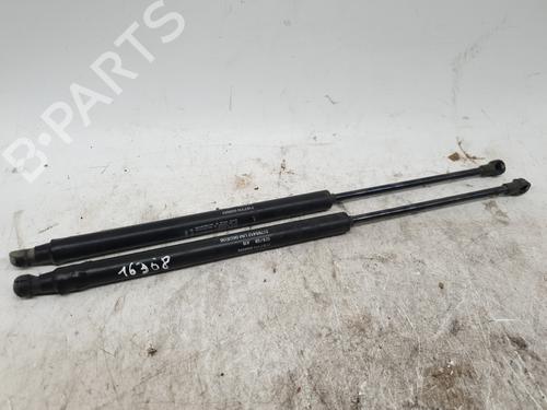 Used Tailgate lift support FIAT 500 (312_) 1.3 D Multijet (312AXB1A) (75 hp) 24828190