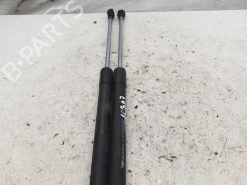 Used Tailgate lift support RENAULT CLIO III (BR0/1, CR0/1) 1.5 dCi (75 hp) 22864376