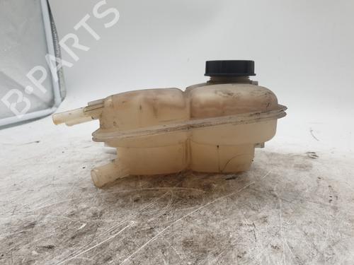 Used Expansion tank Expansion tank FORD C-MAX (DM2) 1.8 TDCi (115 hp) 22869457 22869457