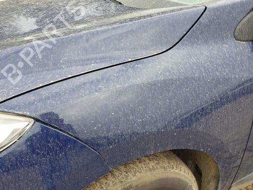 Used Left front fenders RENAULT MEGANE III Hatchback (BZ0/1_, B3_) 1.5 dCi (106 hp) 25031225