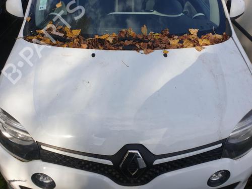 Motor RENAULT TWINGO III (BCM_, BCA_) 1.0 SCe 70 (BCMB) (69 hp) 31272121