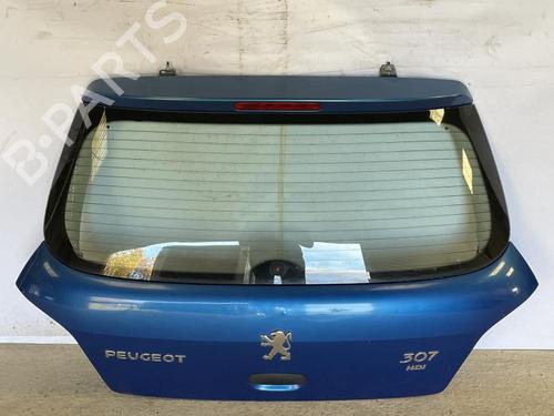 Used Tailgate PEUGEOT 307 (3A/C) 2.0 HDi 90 (90 hp) 22873238