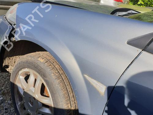 Used Left front fenders RENAULT MEGANE II (BM0/1_, CM0/1_) 1.9 dCi (131 hp) 25133623