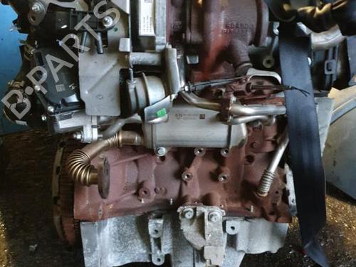 Moteur RENAULT KANGOO Express (FW0/1_) 1.5 dCi 75 (FW07, FW10, FW04) (75 hp) 22884138