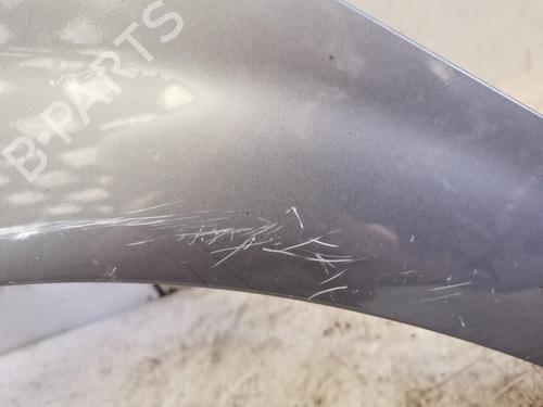 Used Left front fenders RENAULT GRAND SCÉNIC II (JM0/1_) 1.9 dCi (JM0G, JM12, JM1G, JM2C) (120 hp) 22871865