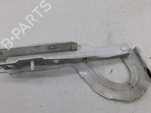 Used Hinge/Door check strap Hinge/Door check strap CITROËN JUMPY II Van 1.6 HDi 90 8V (90 hp) 25842532 25842532