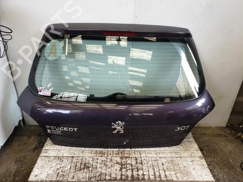 Tailgate PEUGEOT 307 (3A/C) 1.6 16V | BP22876213C6 