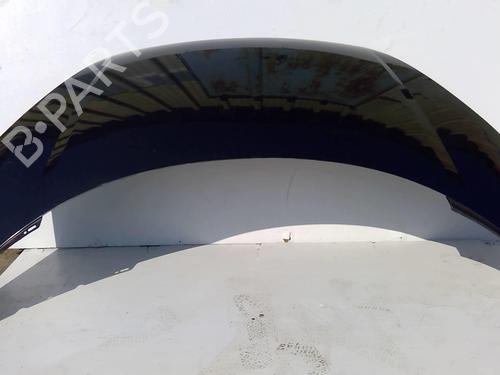 Used Hood RENAULT SCÉNIC III (JZ0/1_) 1.5 dCi (106 hp) 22873492