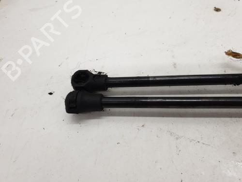 tailgate-lift-support-citroen-c3-ii-sc_-2009-23436155 main image