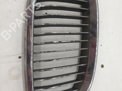 Used Grille BMW 3 Touring (E46) 330 d (184 hp) 22864157