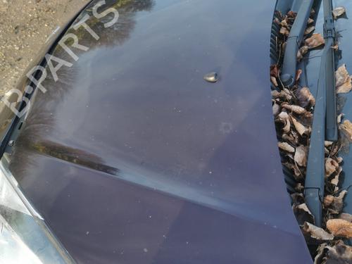 Used Hood Hood DS DS 3 (SA_) 1.6 BlueHDi 100 (SABHY0, SABHYT) (99 hp) 22882625 22882625