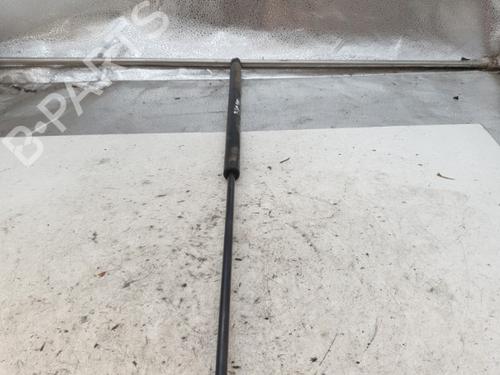 Used Hood lift support AUDI A4 B7 (8EC) 1.9 TDI (116 hp) 24486002