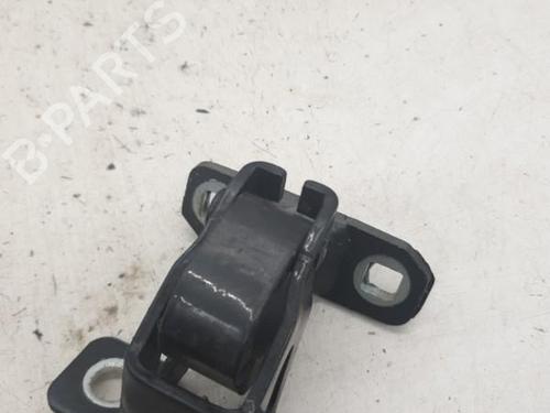 Hinge/Door check strap DACIA LOGAN MCV (KS_) 1.5 dCi (KS0W) | BP24422762C146 