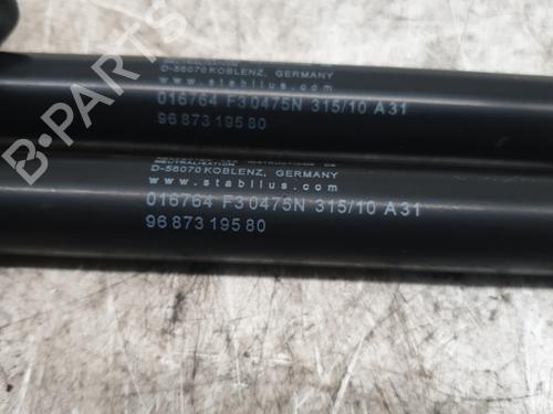 Tailgate lift support CITROËN C4 II (NC_) 1.6 VTi 120 (NC5FS0, NC5FS9) | BP23831807C138