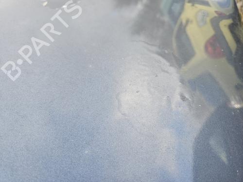 Capot RENAULT TWINGO I (C06_) 1.2 (C063, C064) | BP30754716C1