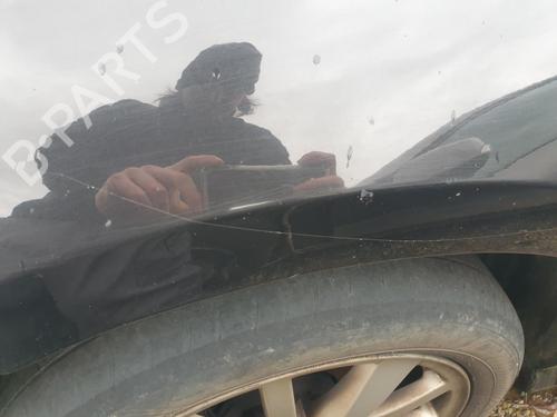 Left front fenders RENAULT LAGUNA III (BT0/1) 2.0 dCi (BT07, BT0J, BT14, BT1A, BT1S) | BP31388015C41