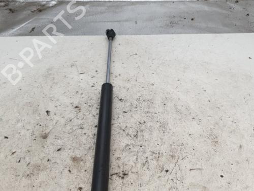 Gassdemper Bakluke RENAULT TWINGO I (C06_) 1.2 (C066, C068) (58 hp) 22866320
