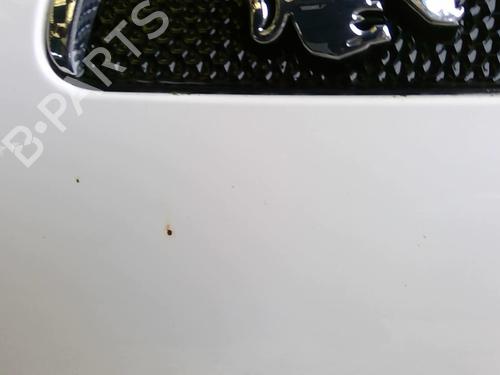 Used Hood PEUGEOT 107 (PM_, PN_) 1.4 HDi (54 hp) 22882448