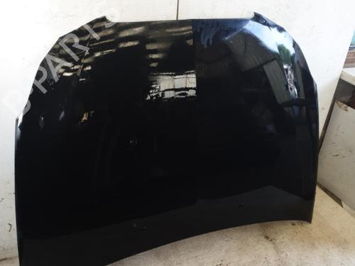 Used Hood LANCIA DELTA III (844_) 1.6 D Multijet (844.AXC11, 844.AXC1A) (120 hp) 22866855