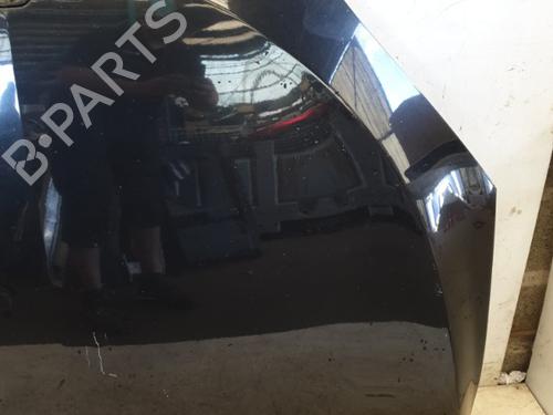 Hood RENAULT MEGANE III Hatchback (BZ0/1_, B3_) 1.5 dCi | BP22874273C1 