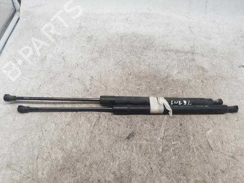 Tailgate lift support RENAULT SCÉNIC III (JZ0/1_) 1.5 dCi | BP29543419C138 