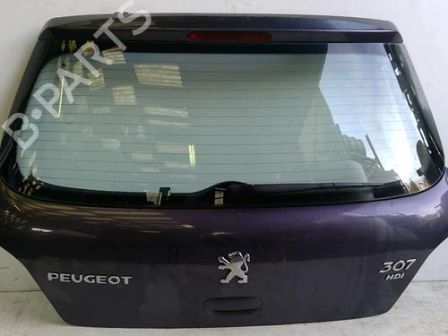 Tailgate PEUGEOT 307 (3A/C) 2.0 HDi 110 | BP22869192C6 