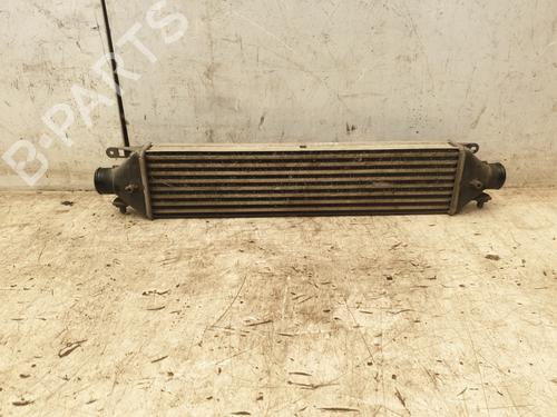 Used Intercooler FIAT DOBLO Cargo (263_) 1.3 D Multijet (90 hp) 26934508