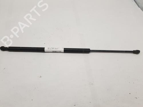 Hood lift support PEUGEOT 607 (9D, 9U) 3.0 V6 24V | BP28000018C139