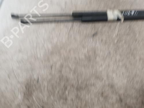 Tailgate lift support RENAULT SCÉNIC III (JZ0/1_) 1.5 dCi | BP29543419C138 