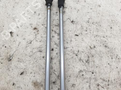 Tailgate lift support RENAULT CLIO III (BR0/1, CR0/1) 1.5 dCi (BR0H, CR0H, CR1S, BR1S) | BP22866321C138 