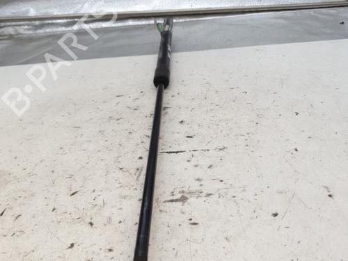 Hood lift support RENAULT MEGANE III Hatchback (BZ0/1_, B3_) 1.5 dCi | BP24485934C139 