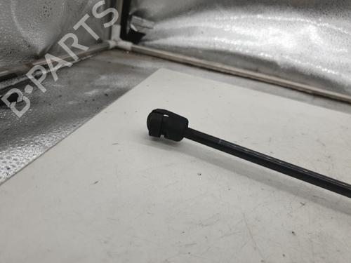 Tailgate lift support FIAT TIPO Estate (356_, 357_) 1.6 D (356WXG1B) | BP23436011C138