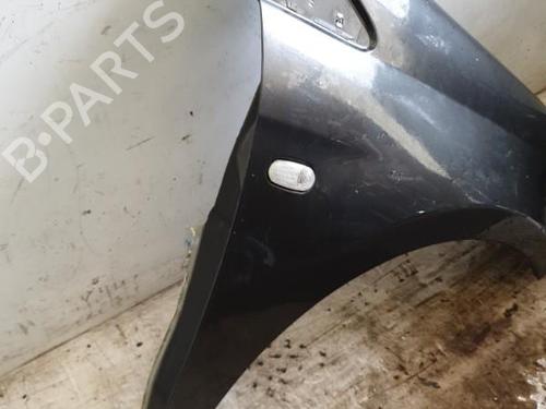 Used Right front fenders FIAT BRAVO II (198_) 1.9 D Multijet (198AXB1A) (120 hp) 22870688