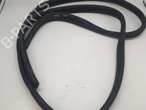 Gummiliste Gummiliste RENAULT KANGOO / GRAND KANGOO II (KW0/1_) 1.5 dCi 85 (KW0K, KW0L, KW0B) (86 hp) 34217716 34217716