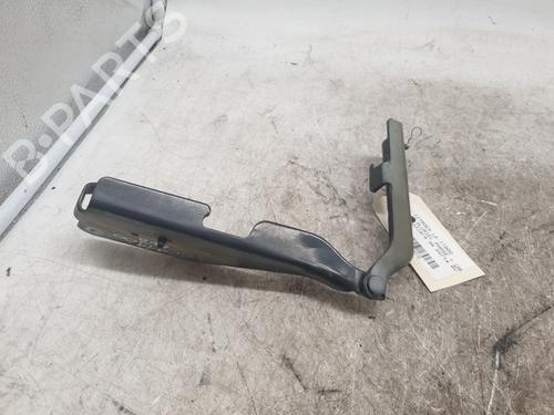 Hinge/Door check strap CITROËN C3 Pluriel (HB_) 1.6 | BP28293219C146 