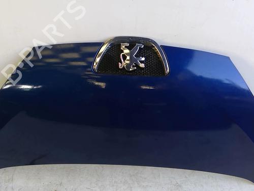 Hood PEUGEOT 107 (PM_, PN_) 1.4 HDi | BP22876849C1