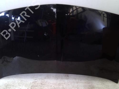 Used Hood RENAULT MEGANE II (BM0/1_, CM0/1_) 1.6 16V (112 hp) 22880432