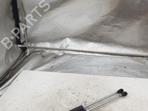 Used Tailgate lift support Tailgate lift support RENAULT CLIO III (BR0/1, CR0/1) 1.5 dCi (BR0H, CR0H, CR1S, BR1S) (106 hp) 22866321 22866321
